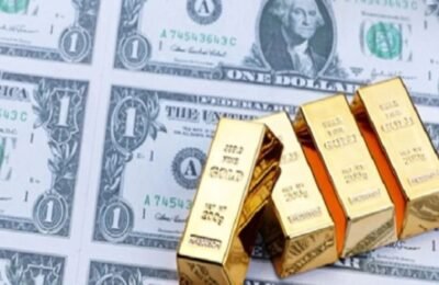 After two weeks, good news came on the forex reserve front of the country, the treasury increased so much