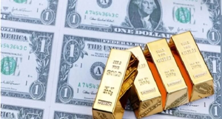 After two weeks, good news came on the forex reserve front of the country, the treasury increased so much
