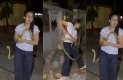 People ran away as soon as they saw the snake, the woman did the rescue alone without fear, showed courage in front of the dangerous cobra