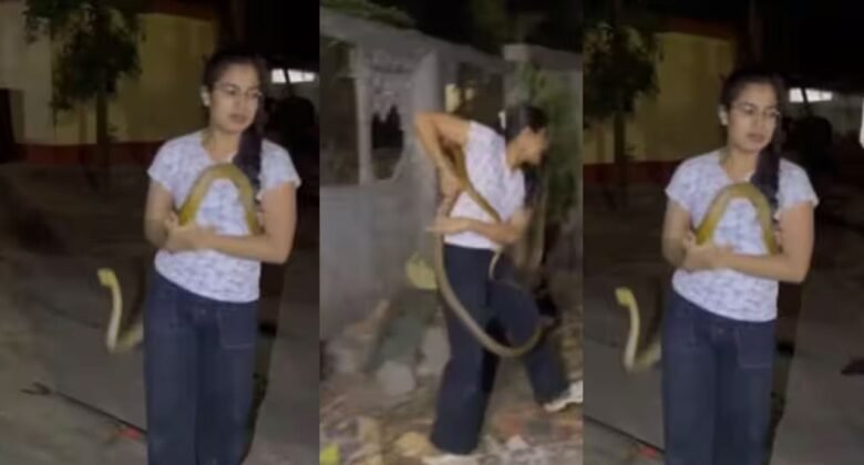 People ran away as soon as they saw the snake, the woman did the rescue alone without fear, showed courage in front of the dangerous cobra